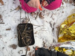 Udział klas 1b i 1c w PROJEKCIE DZIECI LASU 